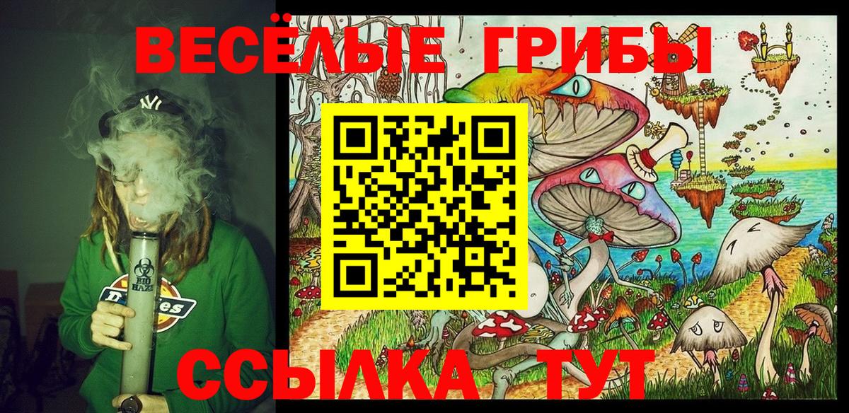 Галлюциногенные грибы MAGIC MUSHROOMS Кашира