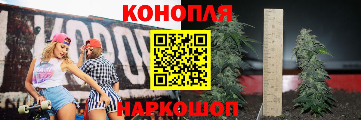 Бошки Шишки марихуана Кашира